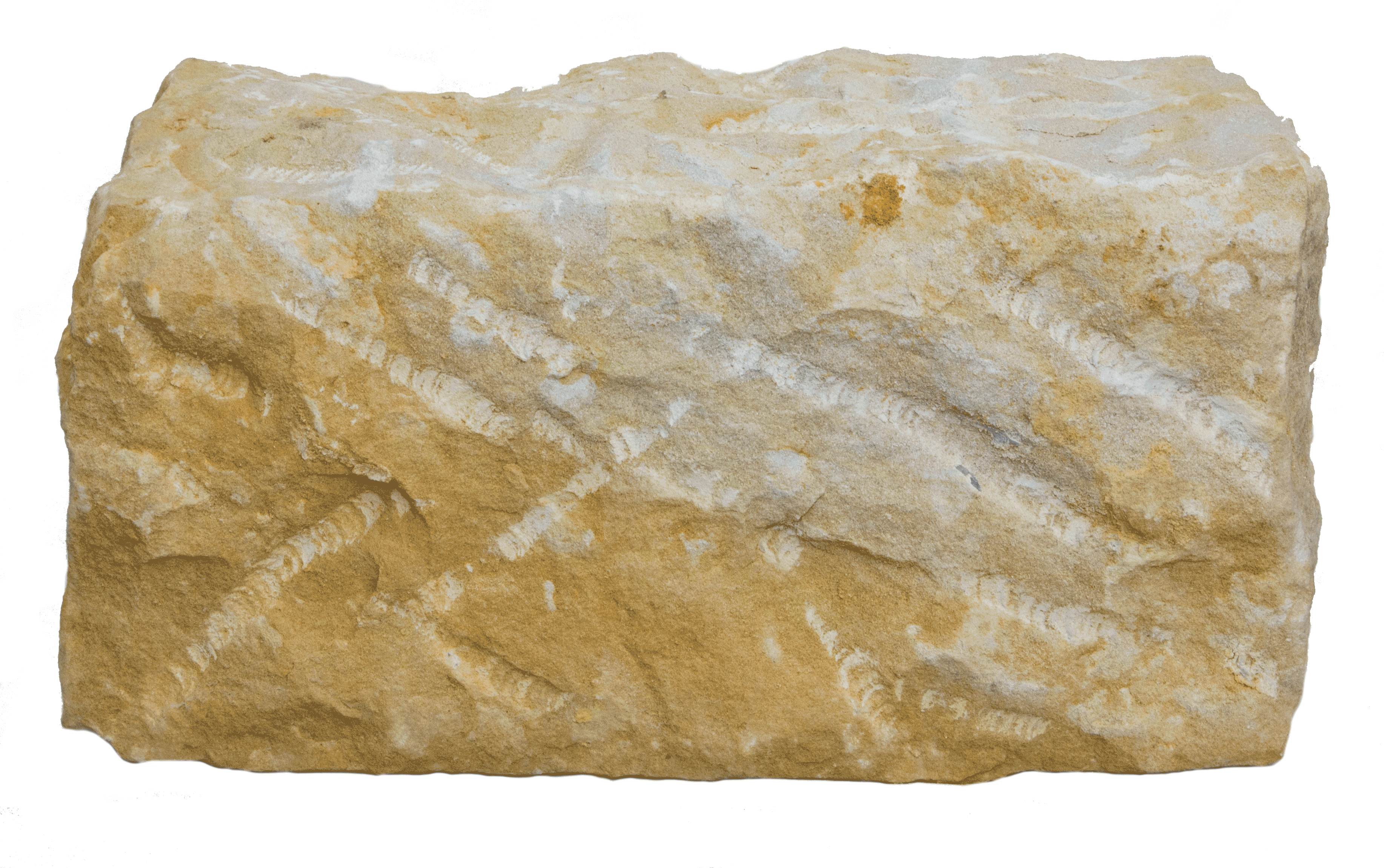 mauerstein_sandstein_gelb_nach